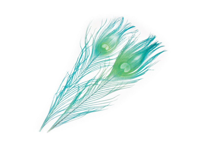 Frödin Peacock Eye Feathers