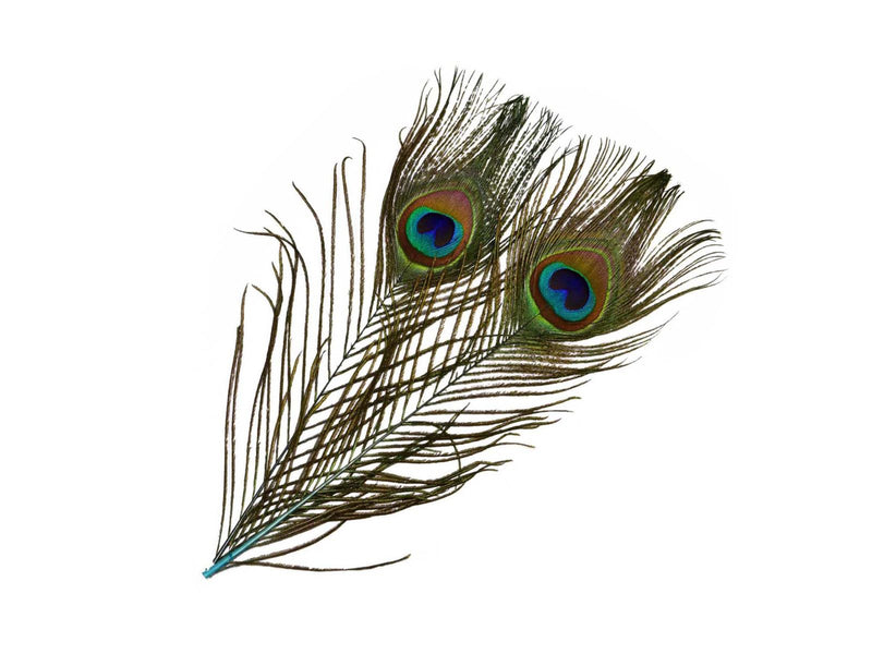 Frödin Peacock Eye Feathers