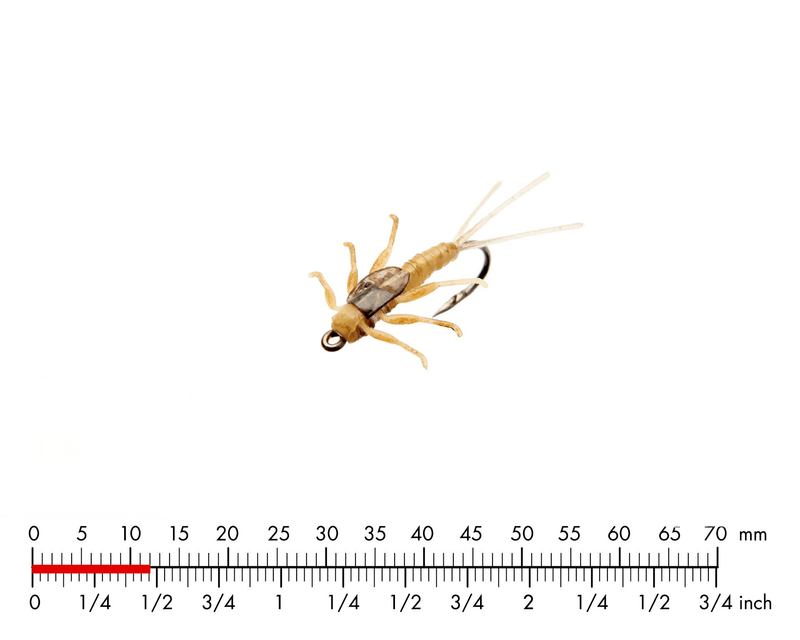 J:son Mayfly Nymph Sulphur_3