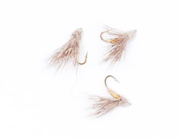 Streaking Caddis Nature_1